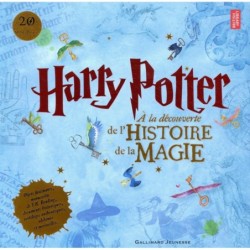 HARRY POTTER - A LA DECOUVERTE DE L'HISTOIRE DE LA MAGIE