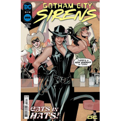 GOTHAM CITY SIRENS -3 (OF...