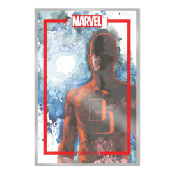 THE MARVEL PORTFOLIO OF...