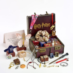 HARRY POTTER - CALENDRIER DE L'AVENT 2024