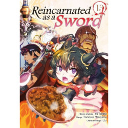 REINCARNATED AS A SWORD T13