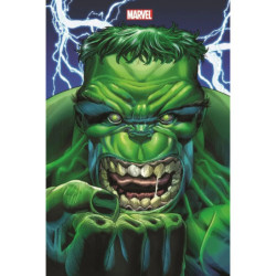 IMMORTAL HULK VARIANTE PANINI