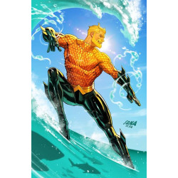 AQUAMAN -4 CVR B DAVID...