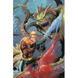 AQUAMAN -4 CVR D TYLER...